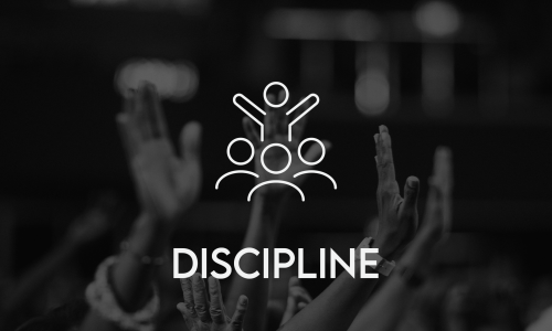 web_discipline web_discipline