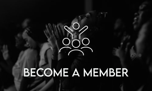web_member web_member